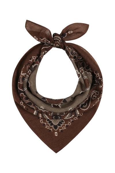 Ombre Scarf Expresso Paisley OM 26161