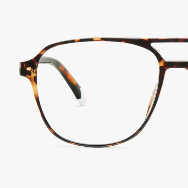 Barner Brad in Glossy Tortoise Glasses