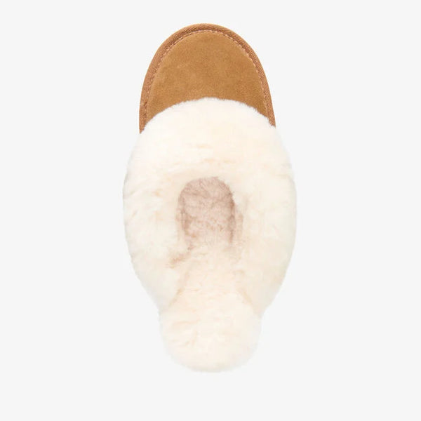 Emu Australia Jolie in Chestnut W10015 Slipper with brown top and white sole on a light gray background