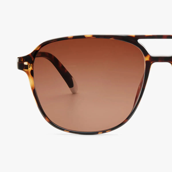 Barner Brad Glossy Tortoise Sunglasses