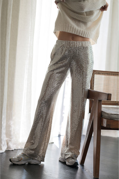 Jeff Rihana Sequin Trousers in Silver
